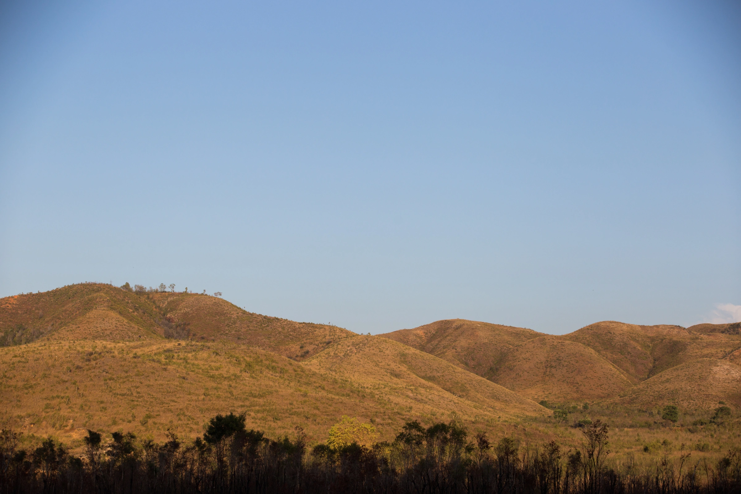Buru_Island[1].webp